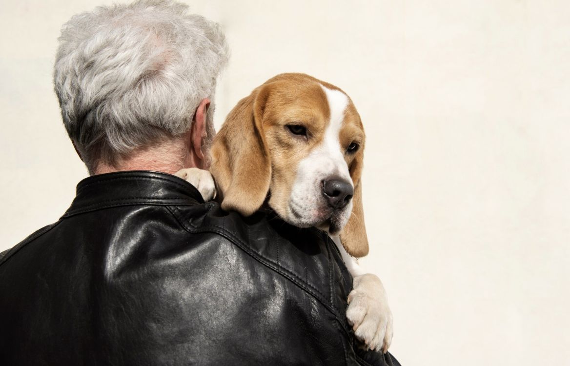 圖／迎戰今年最具爆發力的市場板塊「銀髮族」與「寵物毛孩」兩大雙金市場。勤億透過獨家技術，將單純的畜牧業資源提煉頂規生技原料。（擷取自免費圖庫freepik）