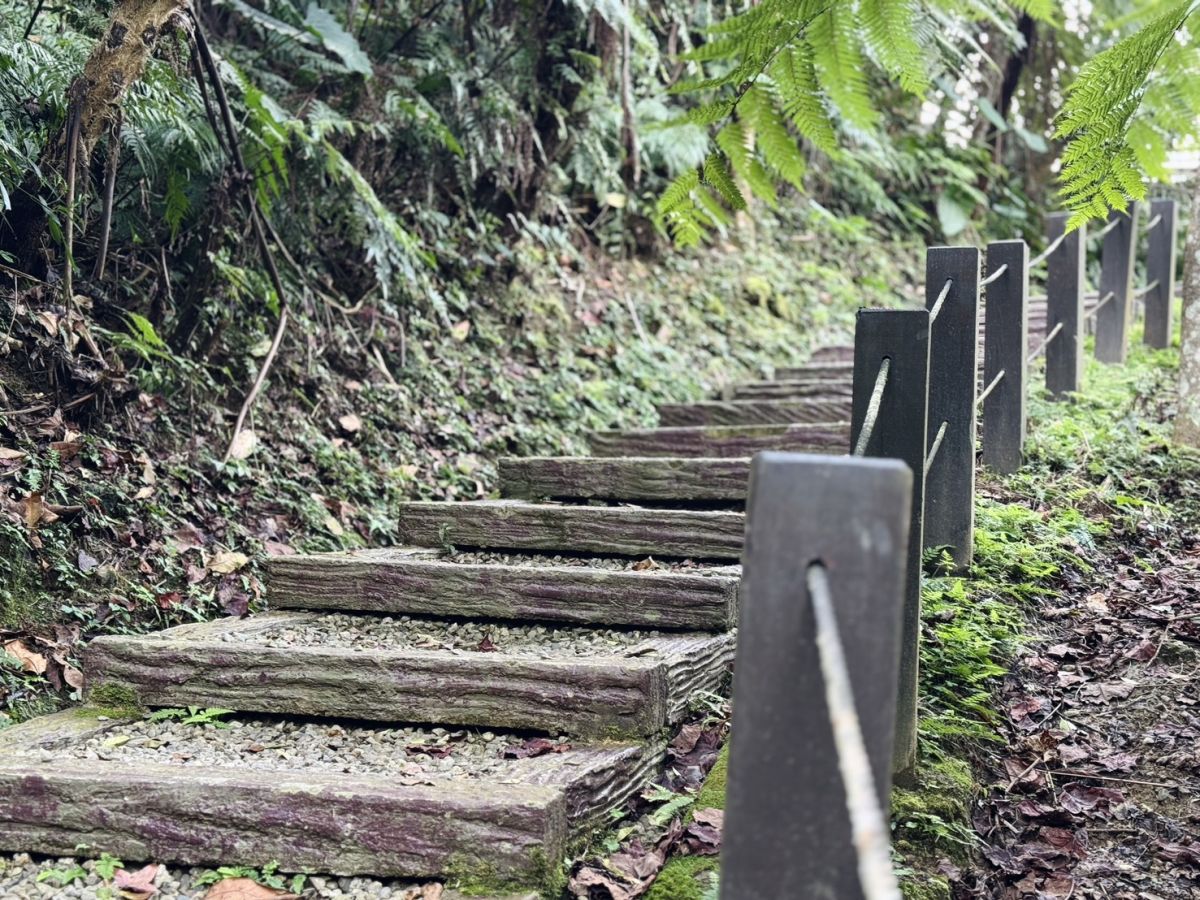微笑山線走進山林音樂會　療癒身心新體驗