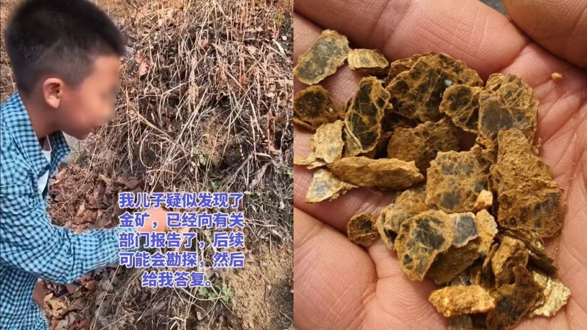 圖/中國一名8歲男童近日跟著家人上山挖野菜時,疑似發現金礦。(翻攝 微博)