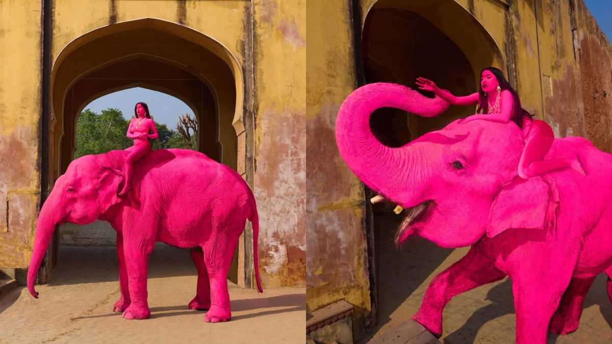 圖/大象傳出死亡消息,進一步引發外界對拍攝過程是否涉及動物福利問題的質疑。(翻攝 IG)