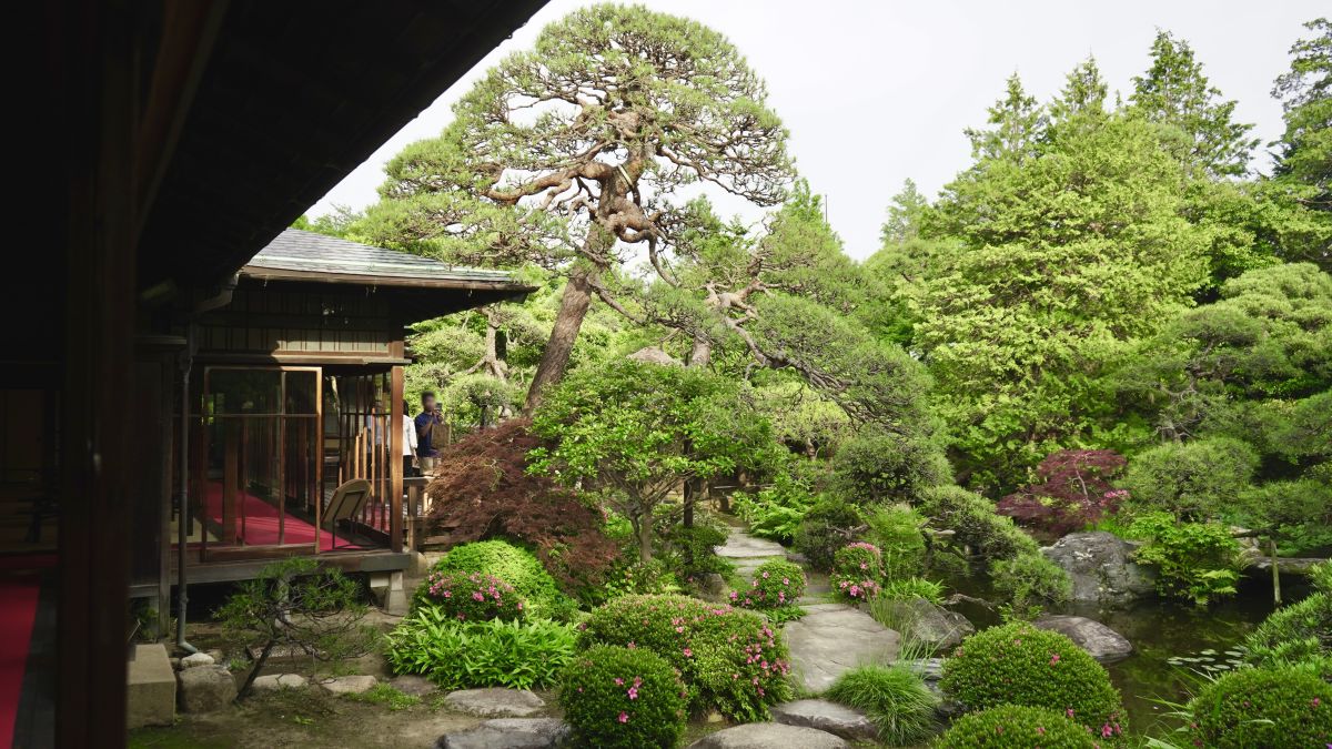 圖／漫步在山本亭，彷彿置身於「大正浪漫」的經典場景中。（葛飾區 山本亭 提供）