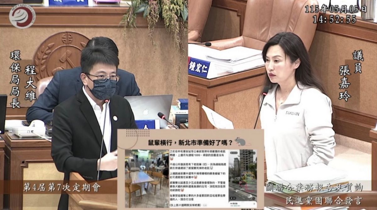 新北鼠患延燒　張嘉玲憂投藥失當恐釀生態危機