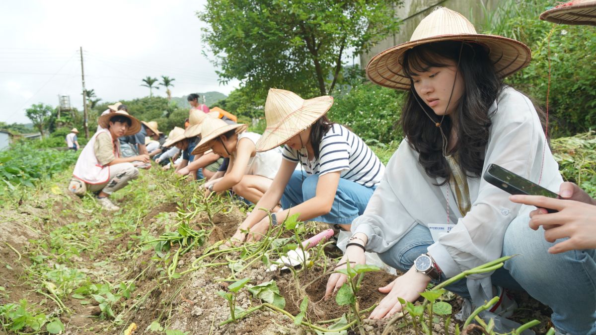 新北永續未來學院開跑　暑期三梯營隊培育青年行動力