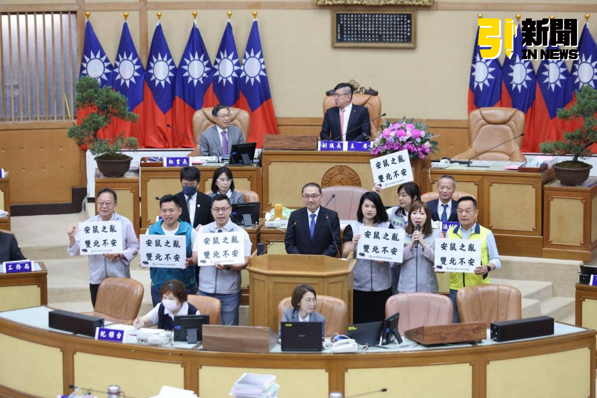 新北議會談鼠患防治　綠營送直笛籲侯友宜強化治理