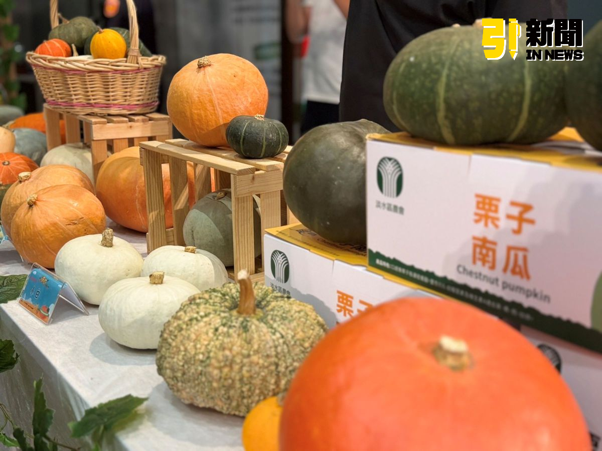 全國最重大南瓜12日登場　淡水南瓜季推美食輕旅行