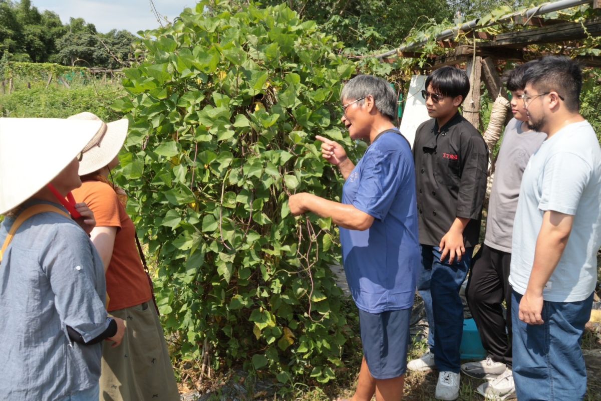 Lipahak野菜好市開市　三峽農園體驗原民食農文化