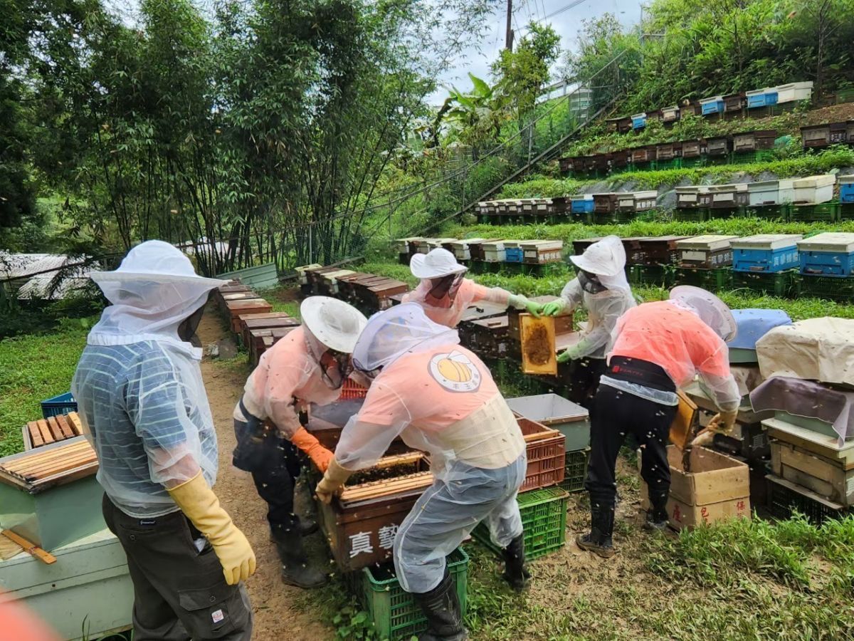 紅淡蜜奪食品界米其林二星　平溪好蜜揚名國際