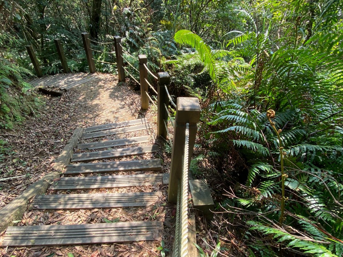 新北野山林開課　觀旅局：親子登山學定位安全一次學