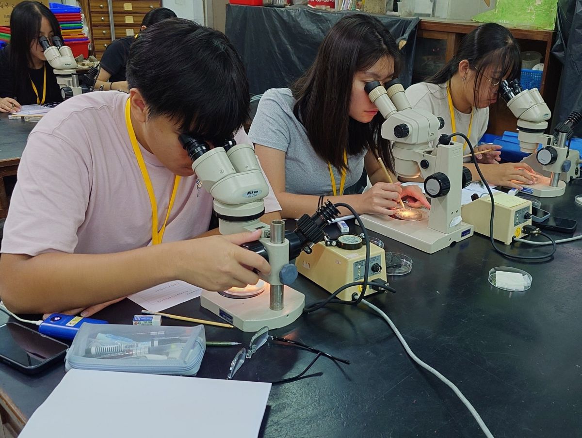 圖/國立臺灣師範大學提供