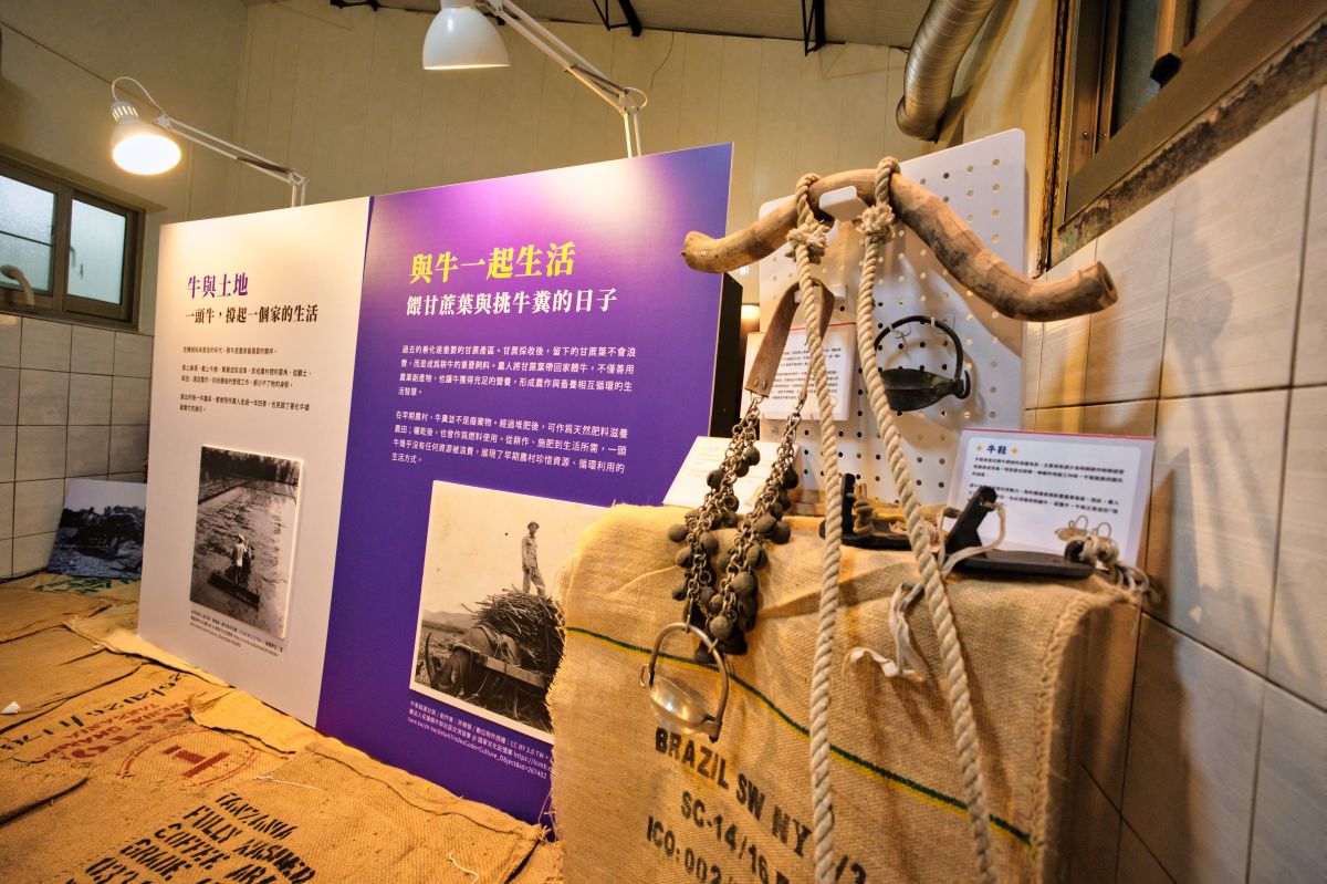 圖／從AR科技體驗到傳統農村記憶，現場展示牛墟周邊農村生活、農機具、牛鈴、牛鼻環、牛鞋及珍貴老照片，讓民眾循著一件件老物件，重新走進昔日善化牛墟與耕牛相伴的生活風景。（樂創媒體提供）