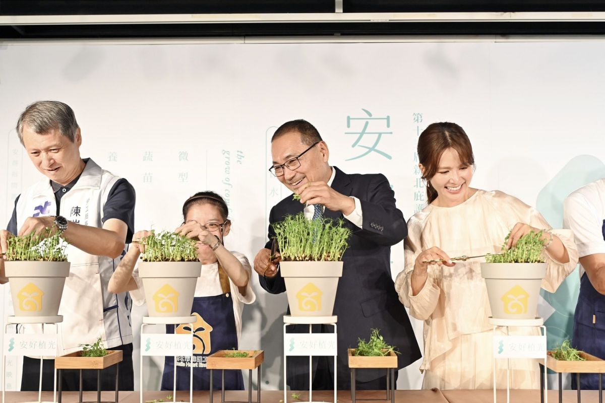 新北庇護禮推「安好植光」　植栽DIY讓愛與生命茁壯