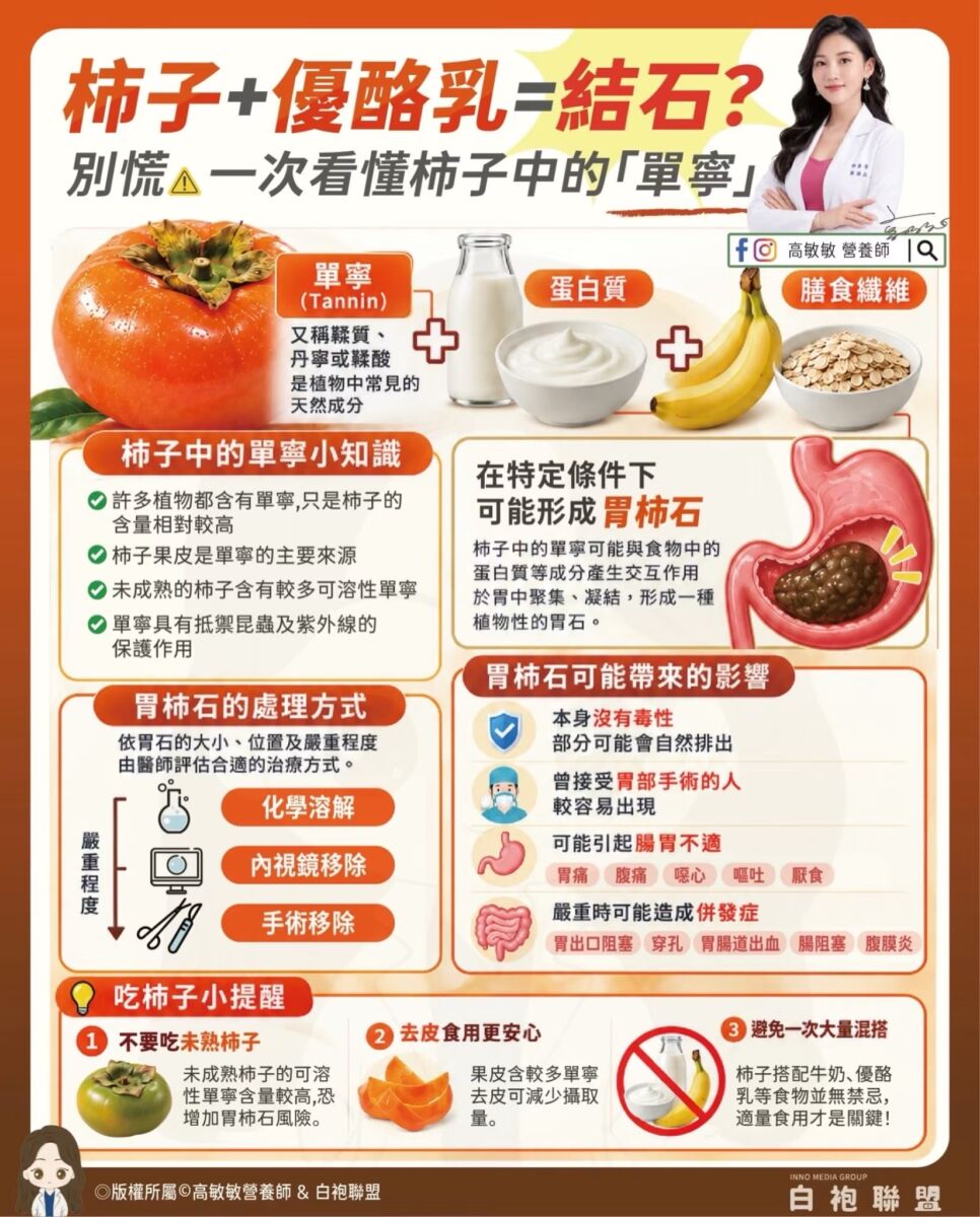 圖／高敏敏提供